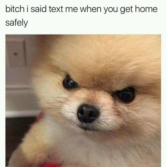 Meet your Posher, Val - Picture 1 of 1